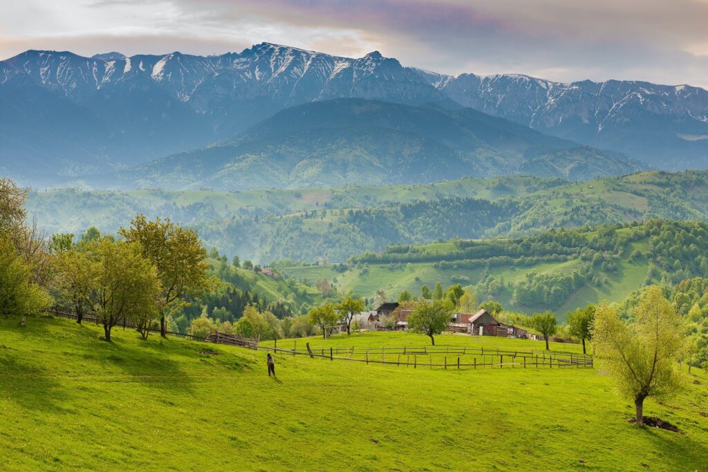 Luna Martisoarelor Luna In Care Ne Indragostim Iar Si Iar De Romania
