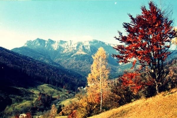 Ceahlau4