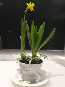 Atelierul Doamnei P 03 Poze