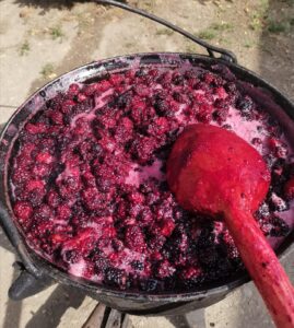 Grădina Cu Mure 02 Poze