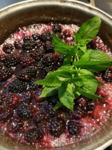 Gradina Cu Mure Poze 07