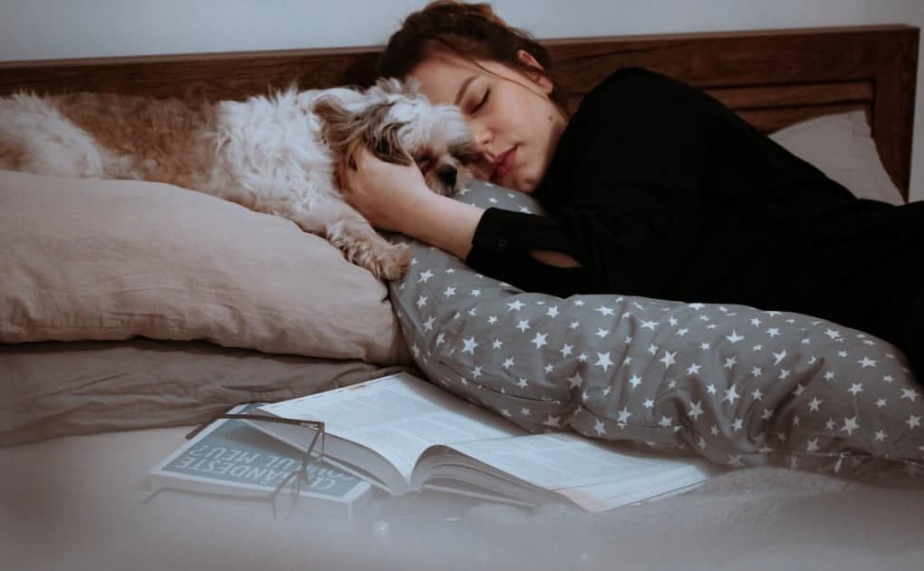 Perne Gravide 01 Poze