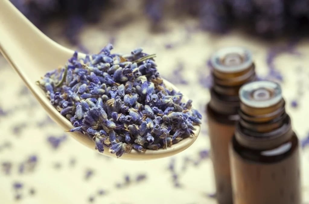 Botez Lavanda 1024x677