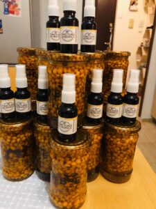 Stupina Bee Farming 07 Poze