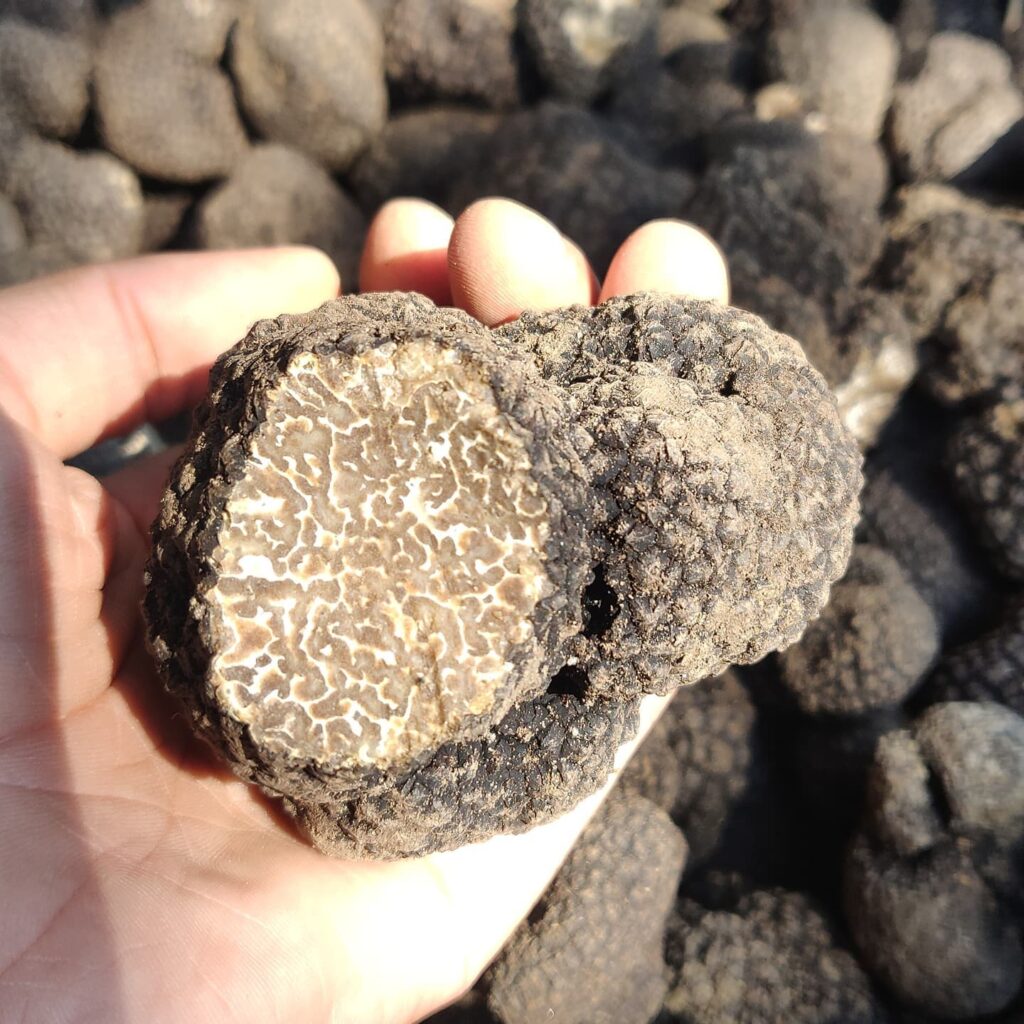 Luna`s Premium Truffles