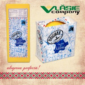 Vlasie Company 01