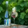 Feteasca Alba 2018 Gabai Vin Din Romania Fabricat On Romanis.png 150x150.jpg
