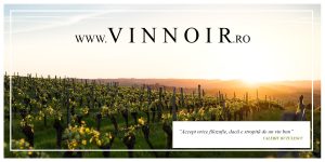 Vinnoir 3