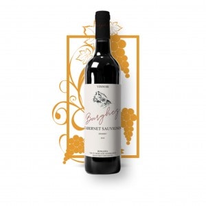 Vinnoir 5