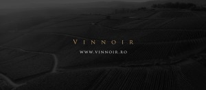 Vinnoir 9
