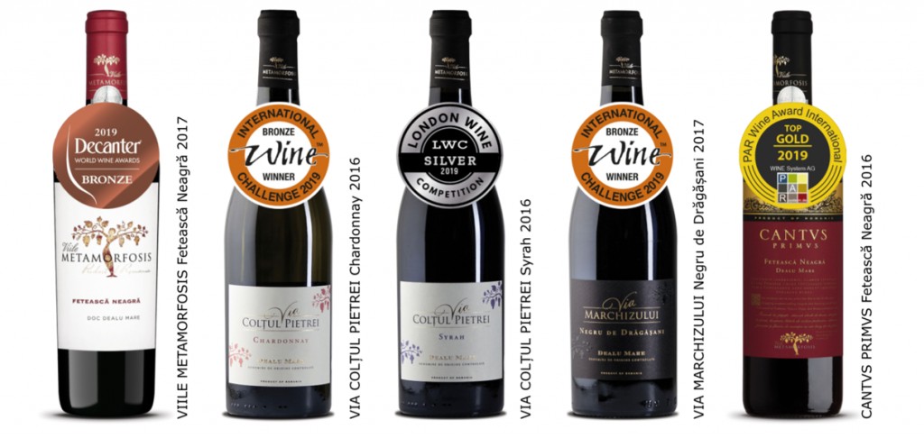 Vitis Metamorfosis O Poveste De Succes Cu și Despre Vin