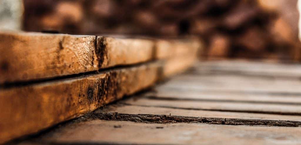 Got Wood 11