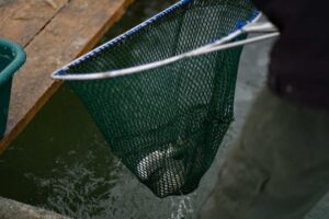 Patravaria Pustinicului 09