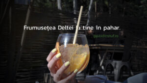 Pai Din Stuf 02