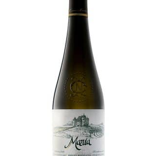 Maria Rhein Riesling Fara Bulina 500x714 1