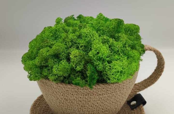 Creative Homedesign Geantă Iută și Bumbac 13