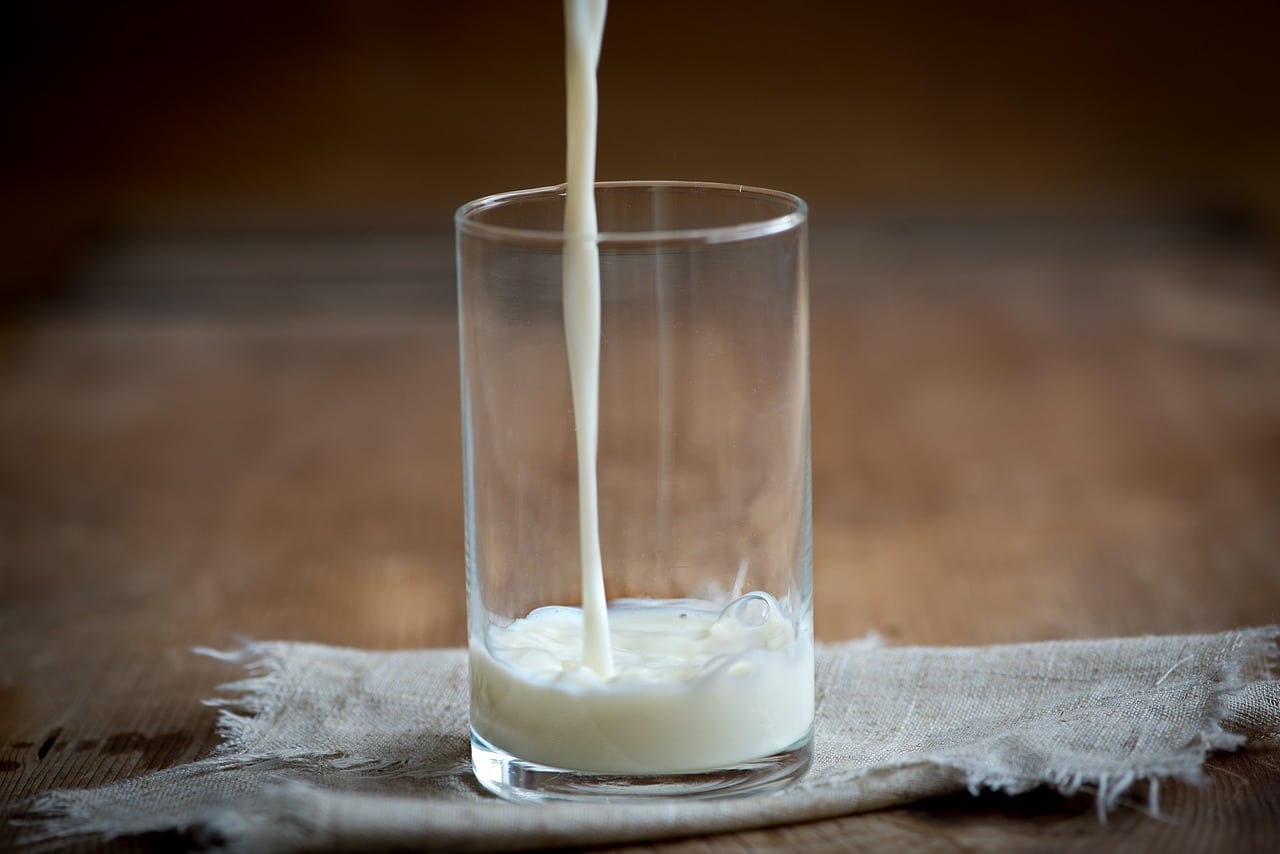 Lapte De Măgăriță Pentru Creșterea Imunității