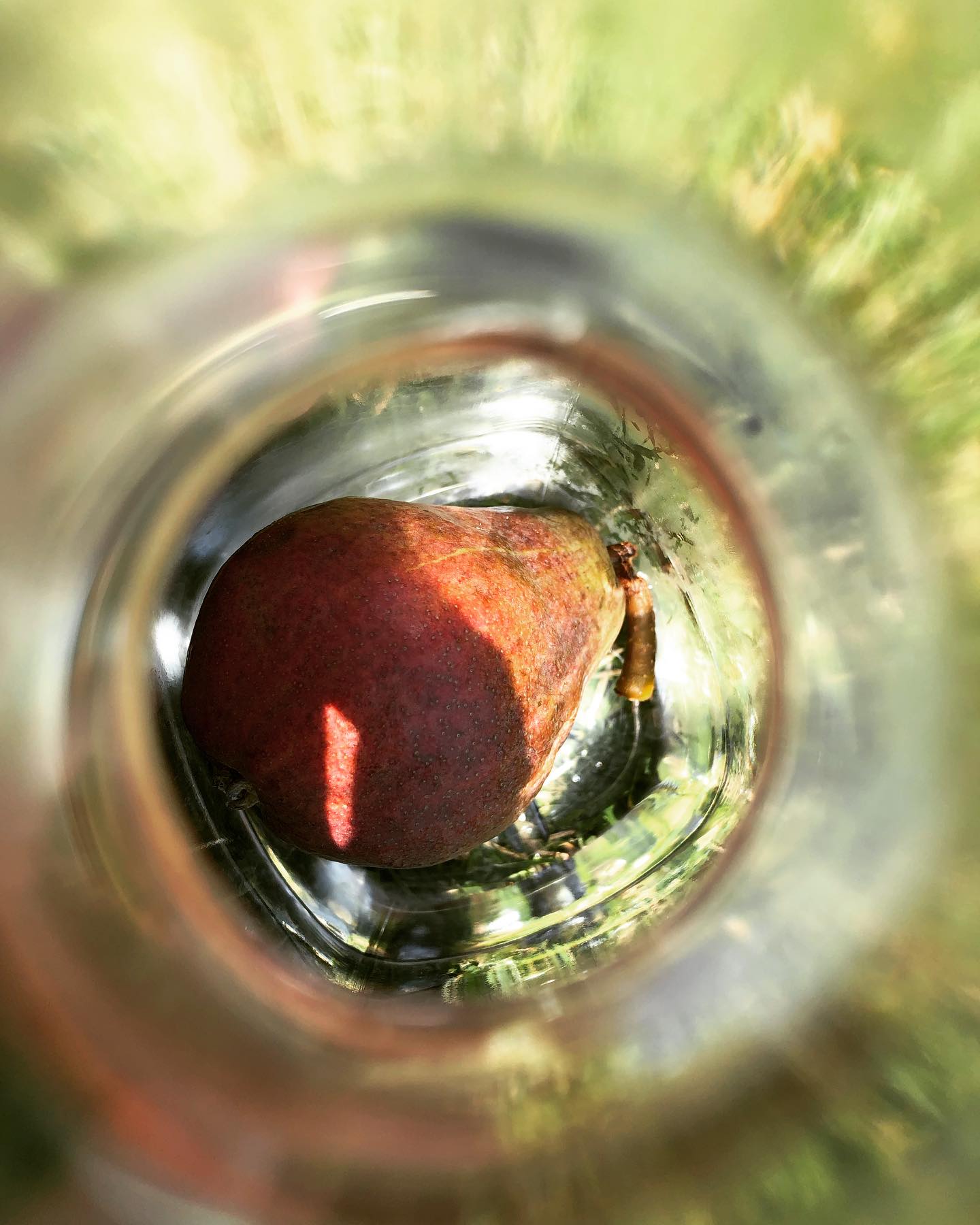 Distileriile Tomșani 02