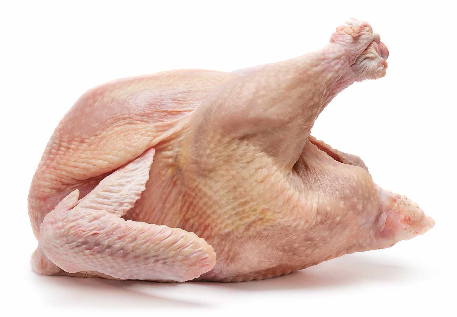 Curcanul De La țară Carne De Curcan Fundal 001