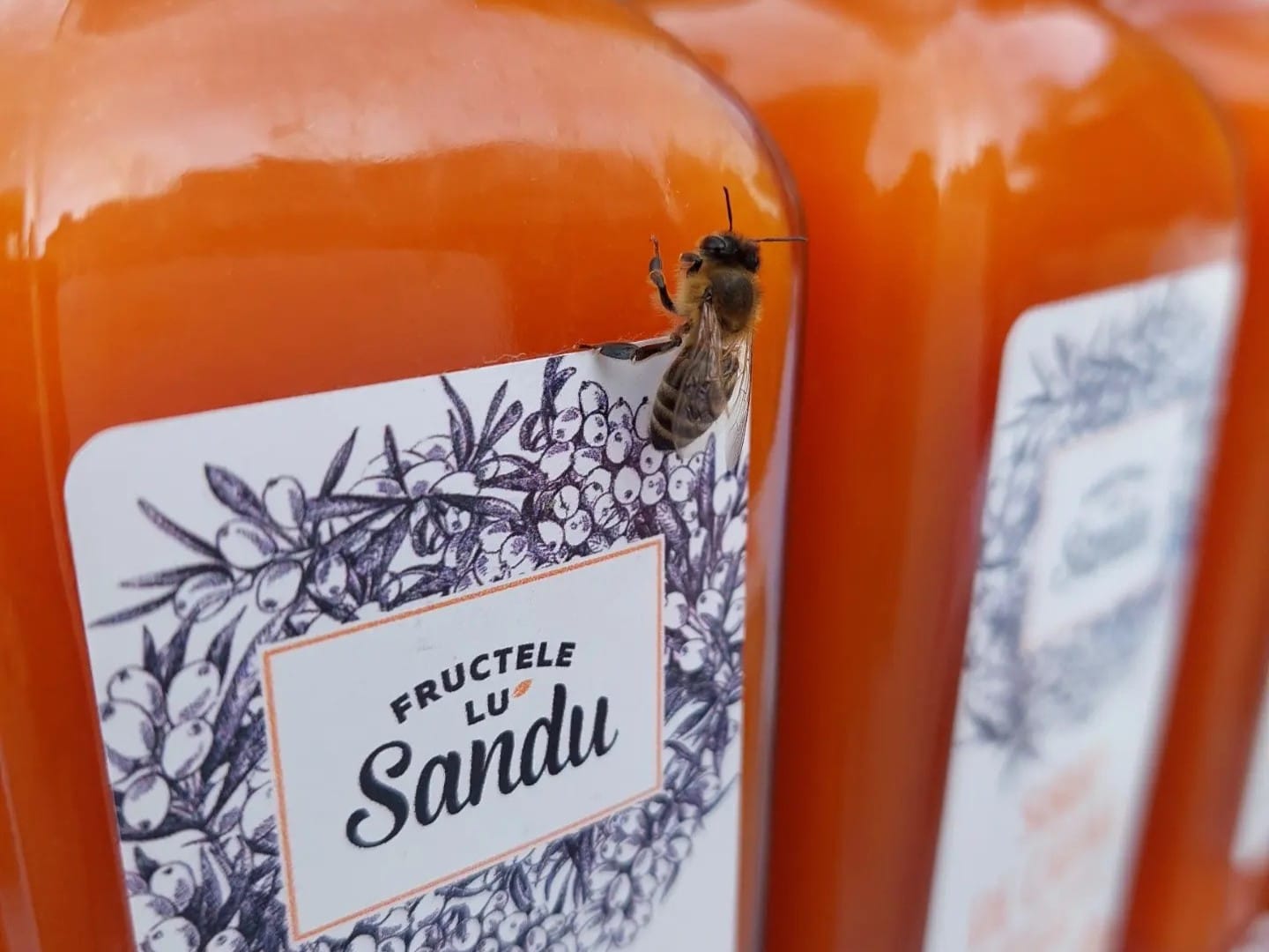Fructele Lu' Sandu Nectar De Cătină Nectar Din Cătină 10
