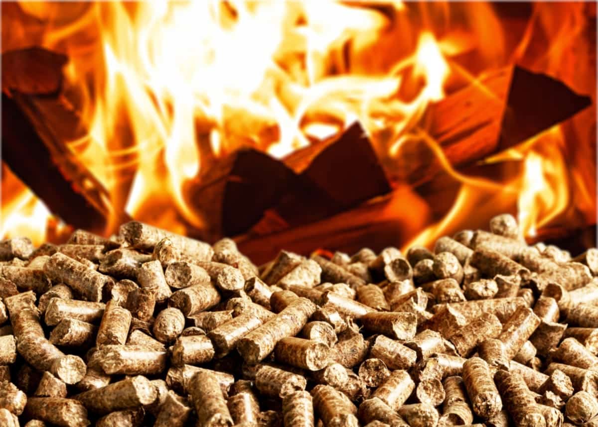Cover Peleții Ce Sunt, Cum Se Fabrică și De Ce Sunt O Soluție Ecologică Pentru încălzire