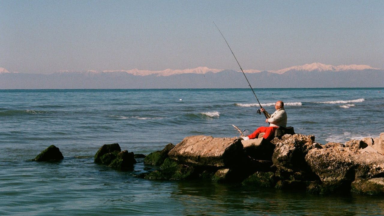 senzori pescuit
