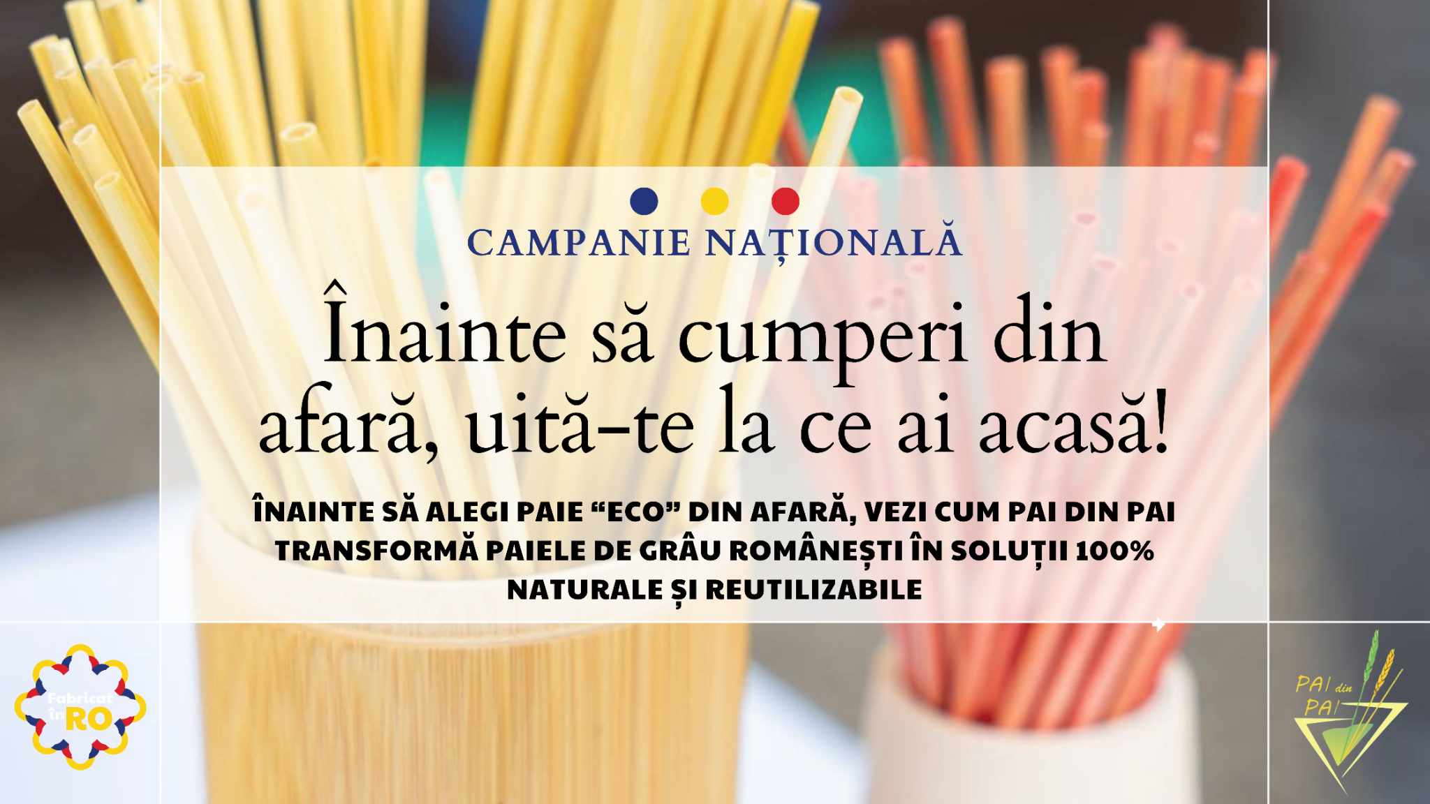 Paie de băut din paie de grâu 02