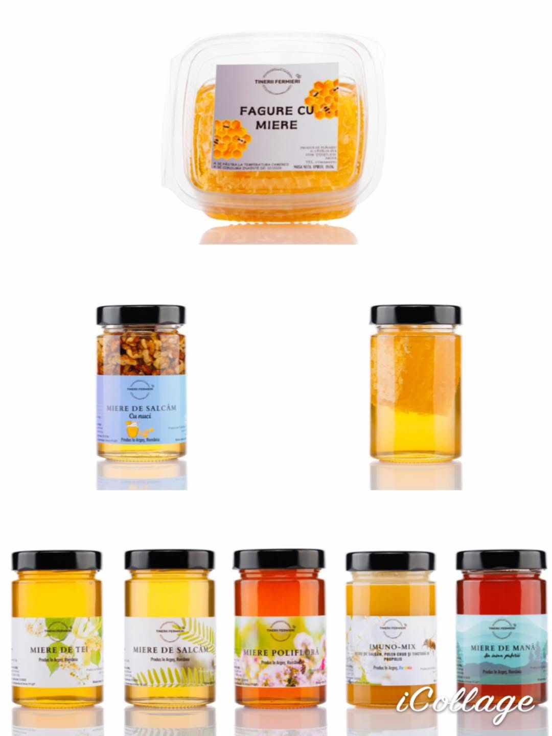 Producător miere Tinerii fermieri 11