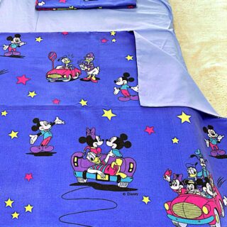 Lenjerie patut cu paturica model Mikey