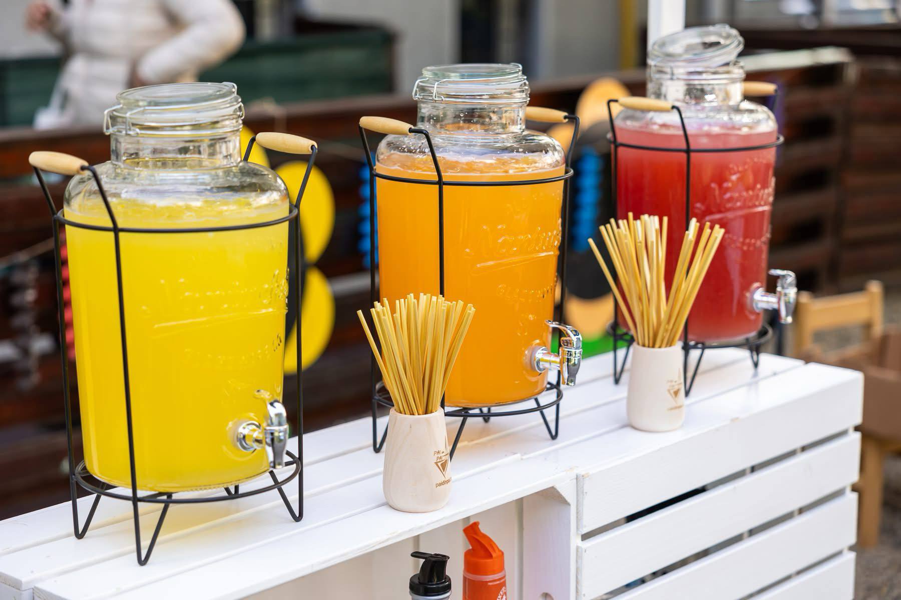 Ai încercat paie de băut care cresc în natură? Ia parte alături de Pai cu Pai la Revoluția Eco Românească