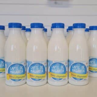 Lapte magarite 10 litri, produs natural și sănătos, ideal pentru alimentația copiilor și a persoanelor cu alergii. Bogat