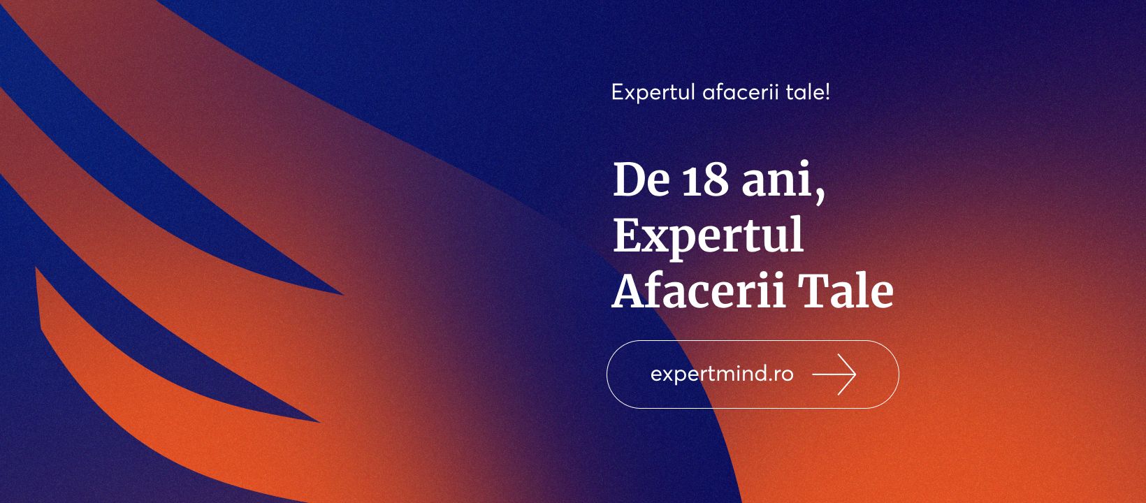 Servicii contabile firme Centrul de Afaceri Expert Mind 08