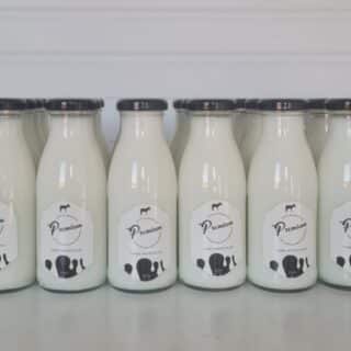 Lapte măgărițe premium 10 litri, produs natural de înaltă calitate, bogat în nutrienți și vitamine esențiale. Ideal