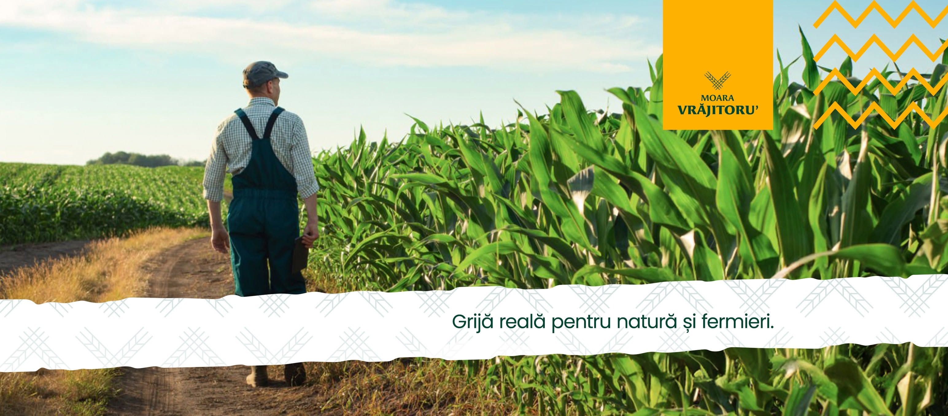 Moara Vrăjitoru' furaje naturale fermă