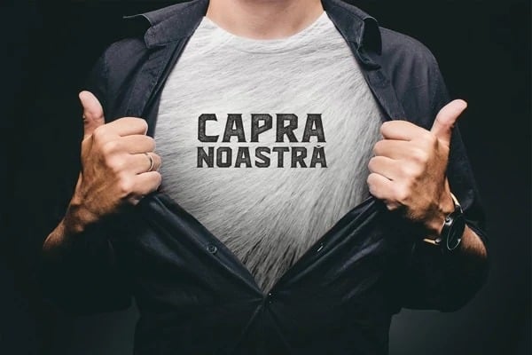 Capra Noastra Iasi.jpg